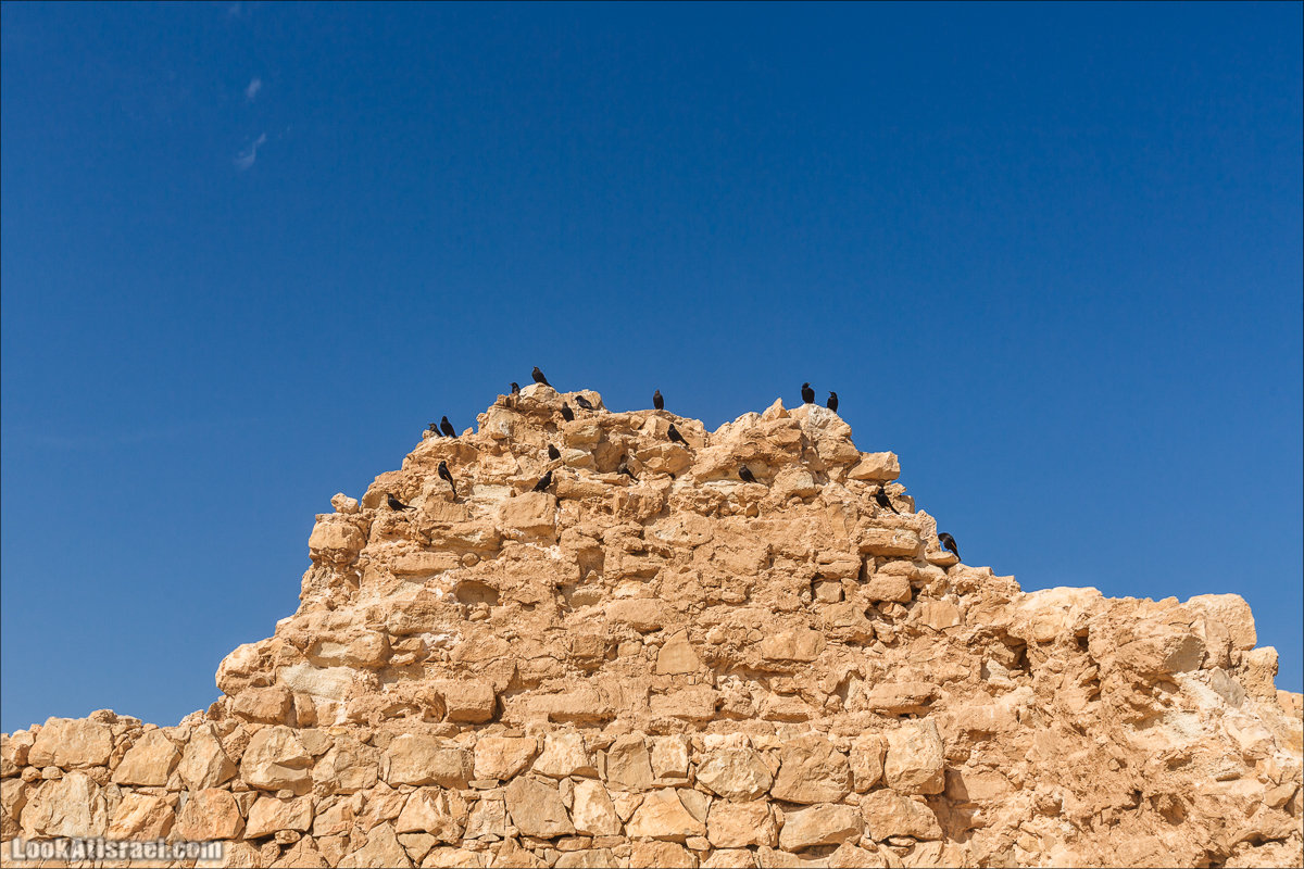 Крепость Масада |Masada | מצדה | LookAtIsrael.com - Фото путешествия по Израилю