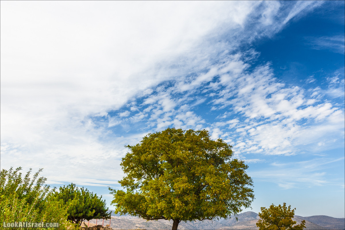 Тель Хацор | LookAtIsrael.com - Фото путешествия по Израилю