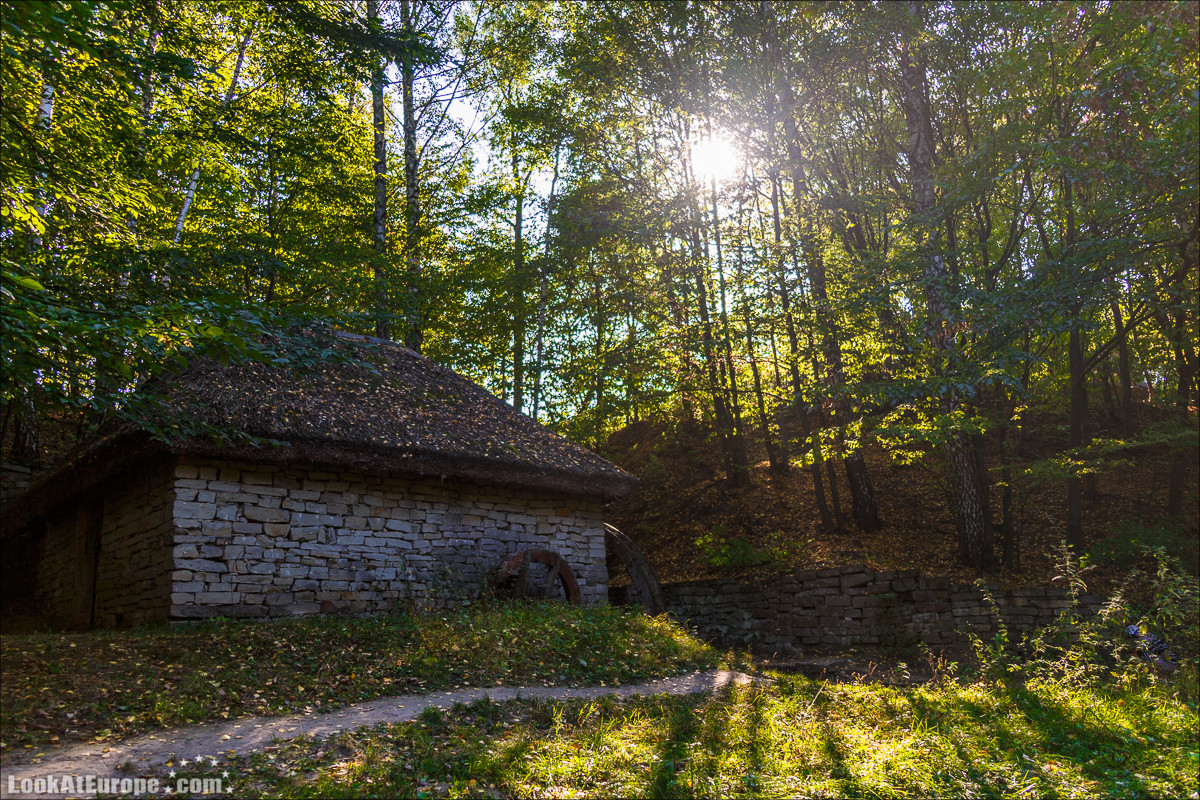 Слава Украине израильскими глазами | LookAtIsrael.com - Путешествует по Украине