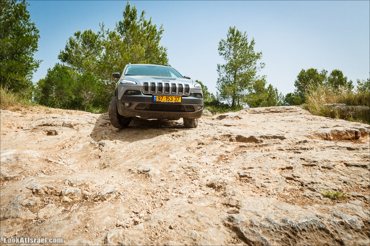 Курс езды по бездорожью клуба Jeep в Израиле | LookAtIsrael.com - Фото путешествия по Израилю