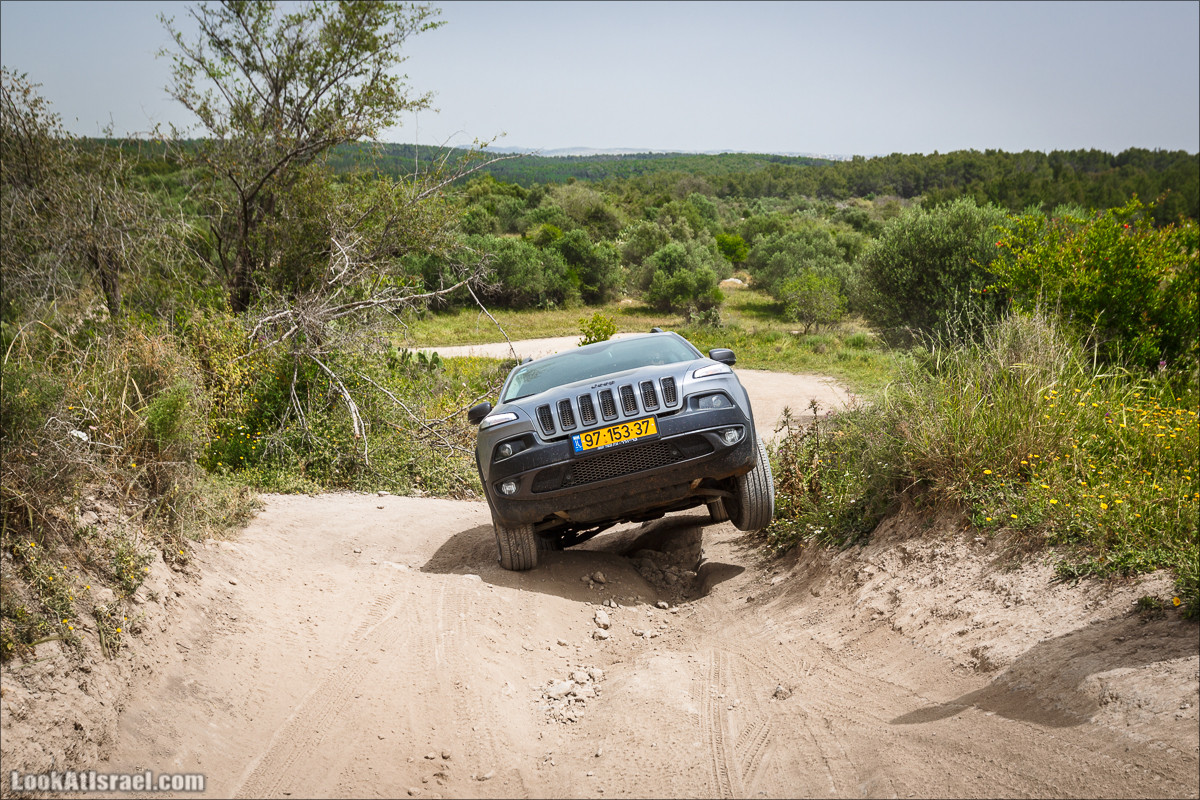 Курс езды по бездорожью клуба Jeep в Израиле | LookAtIsrael.com - Фото путешествия по Израилю
