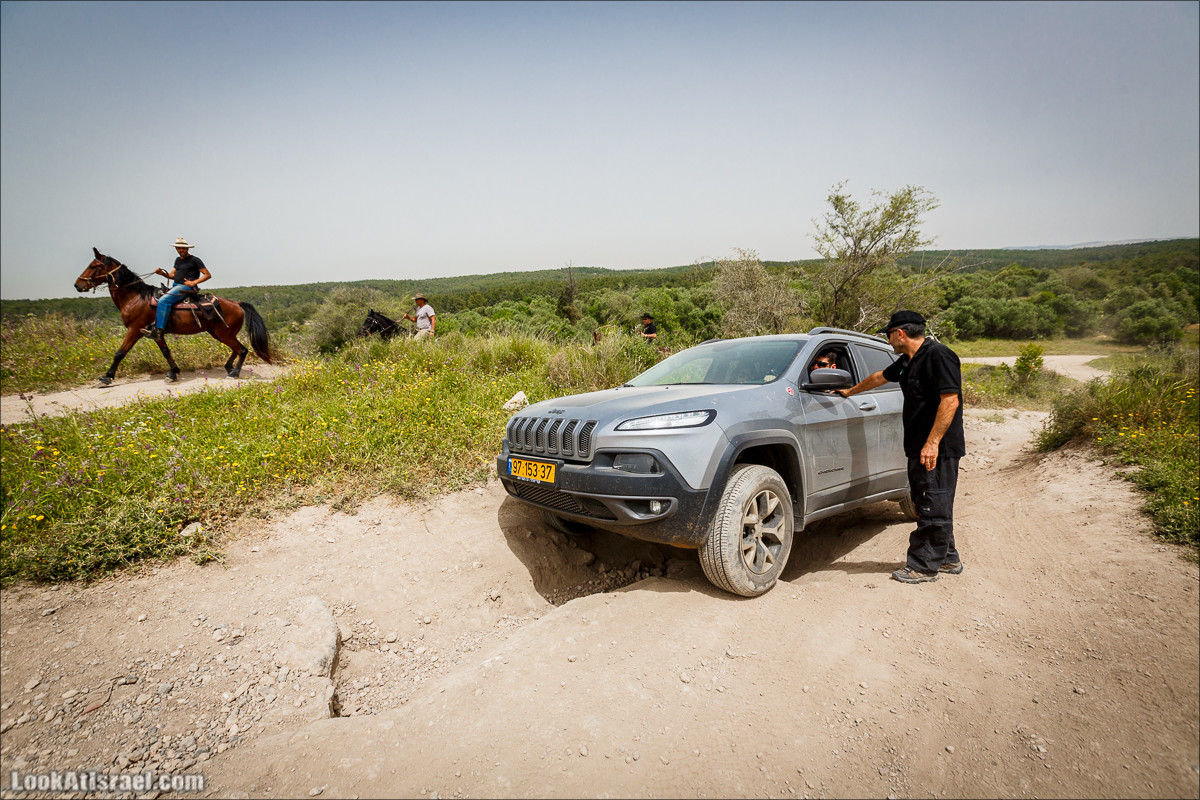 Курс езды по бездорожью клуба Jeep в Израиле | LookAtIsrael.com - Фото путешествия по Израилю