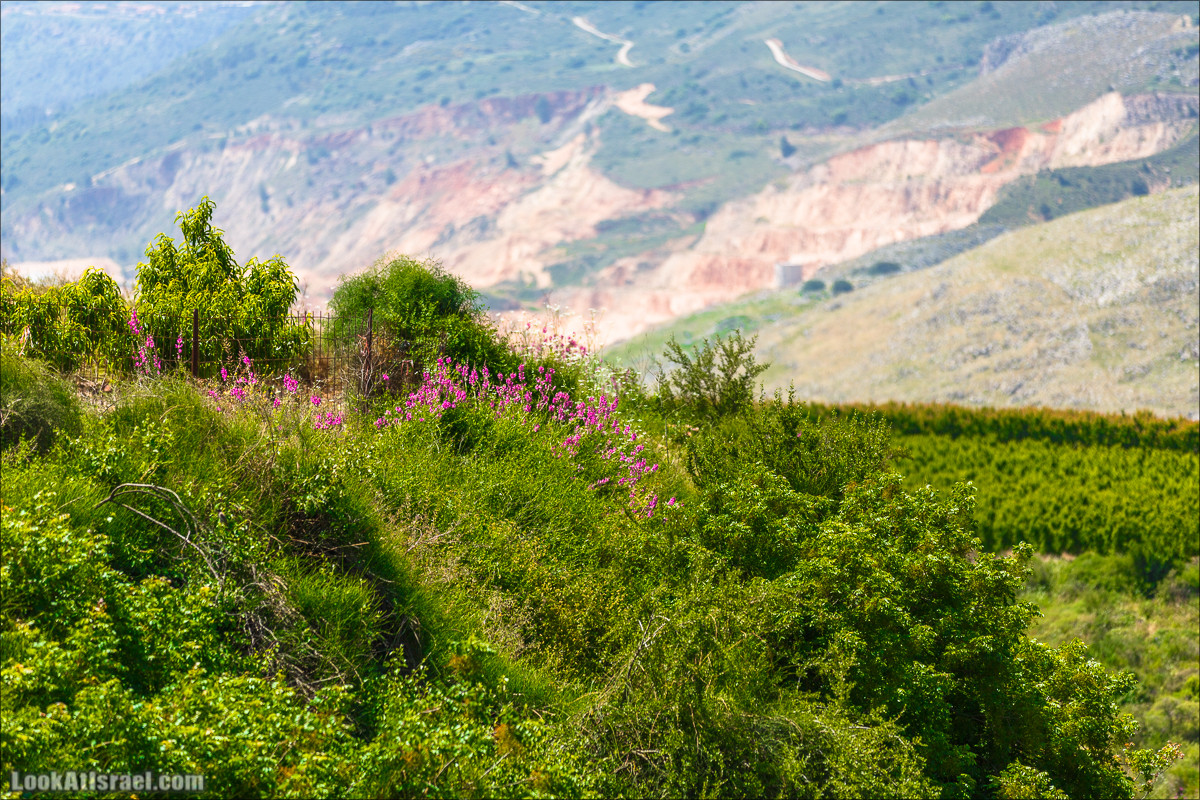 Водопады Аюн | LookAtIsrael.com - Фото путешествия по Израилю