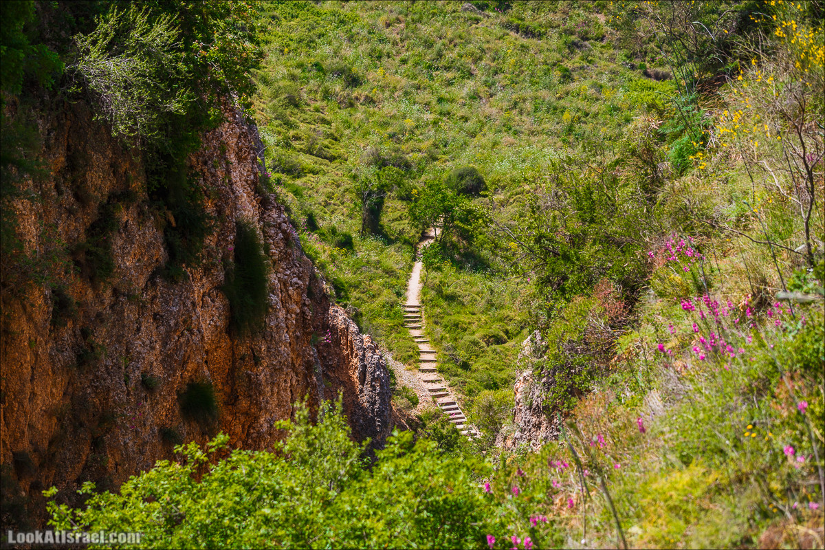 Водопады Аюн | LookAtIsrael.com - Фото путешествия по Израилю
