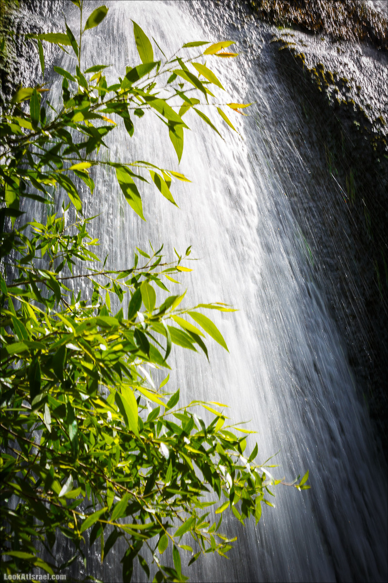 Водопады Аюн | LookAtIsrael.com - Фото путешествия по Израилю