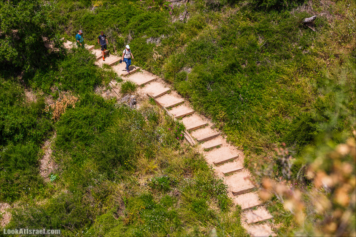 Водопады Аюн | LookAtIsrael.com - Фото путешествия по Израилю