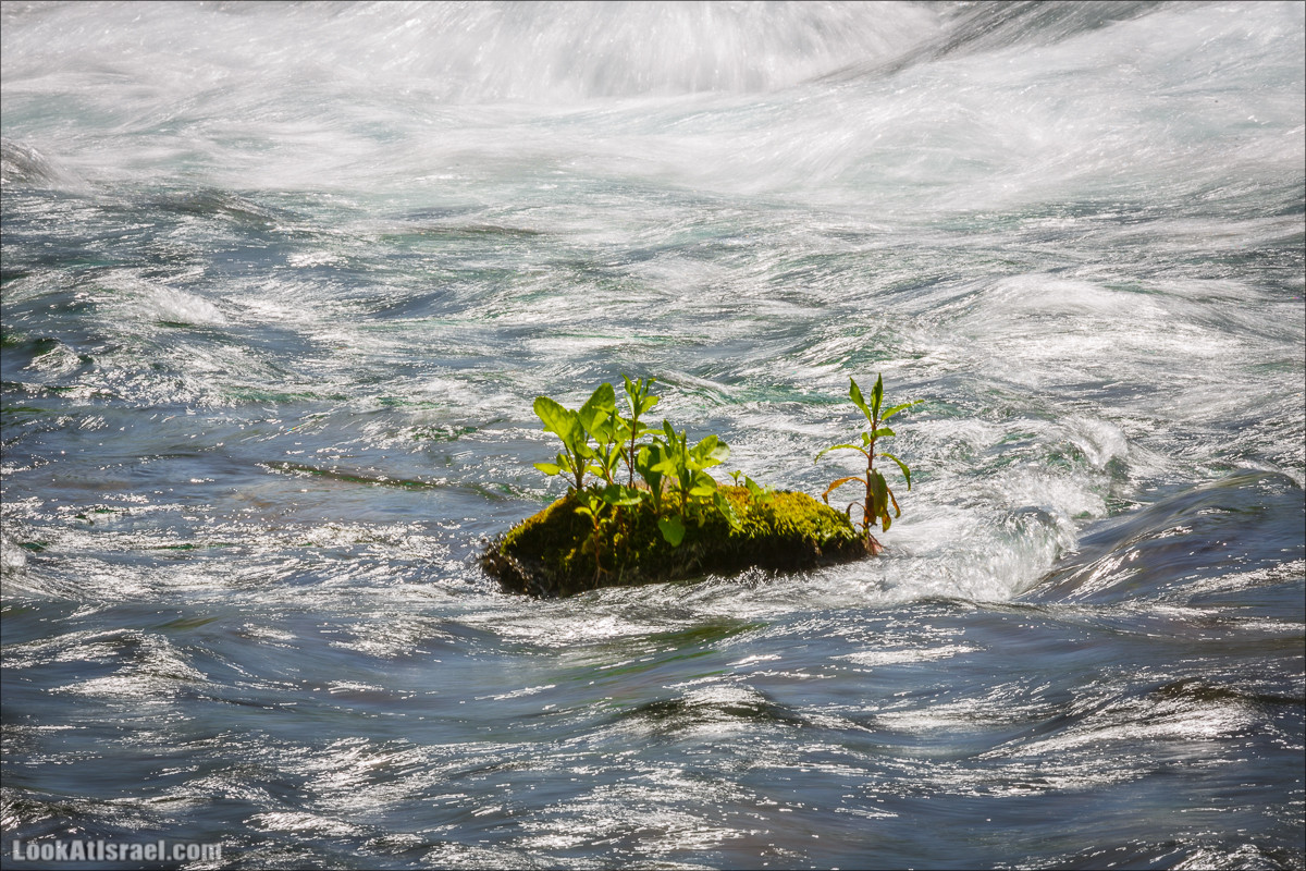 Водопады Аюн | LookAtIsrael.com - Фото путешествия по Израилю