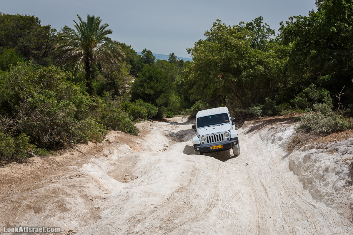 Курс езды по бездорожью на Jeep Cherokee | Jeep Cherokee offload course | LookAtIsrael.com - Фото путешествия по Израилю