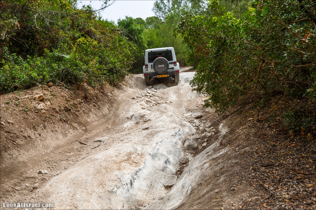 Курс езды по бездорожью на Jeep Cherokee | Jeep Cherokee offload course | LookAtIsrael.com - Фото путешествия по Израилю