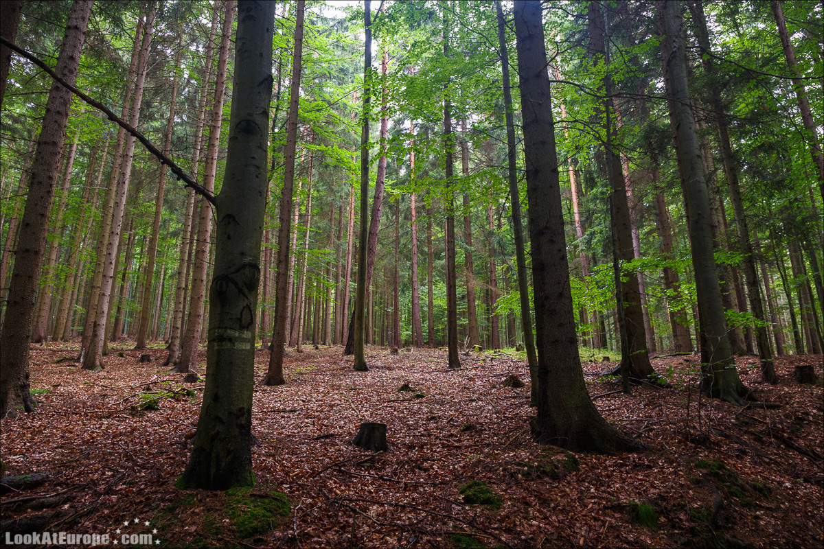 Чехия. Подебрады и собор Варвары в Кутна Гора | LookAtIsrael.com - Фото путешествия по Израилю