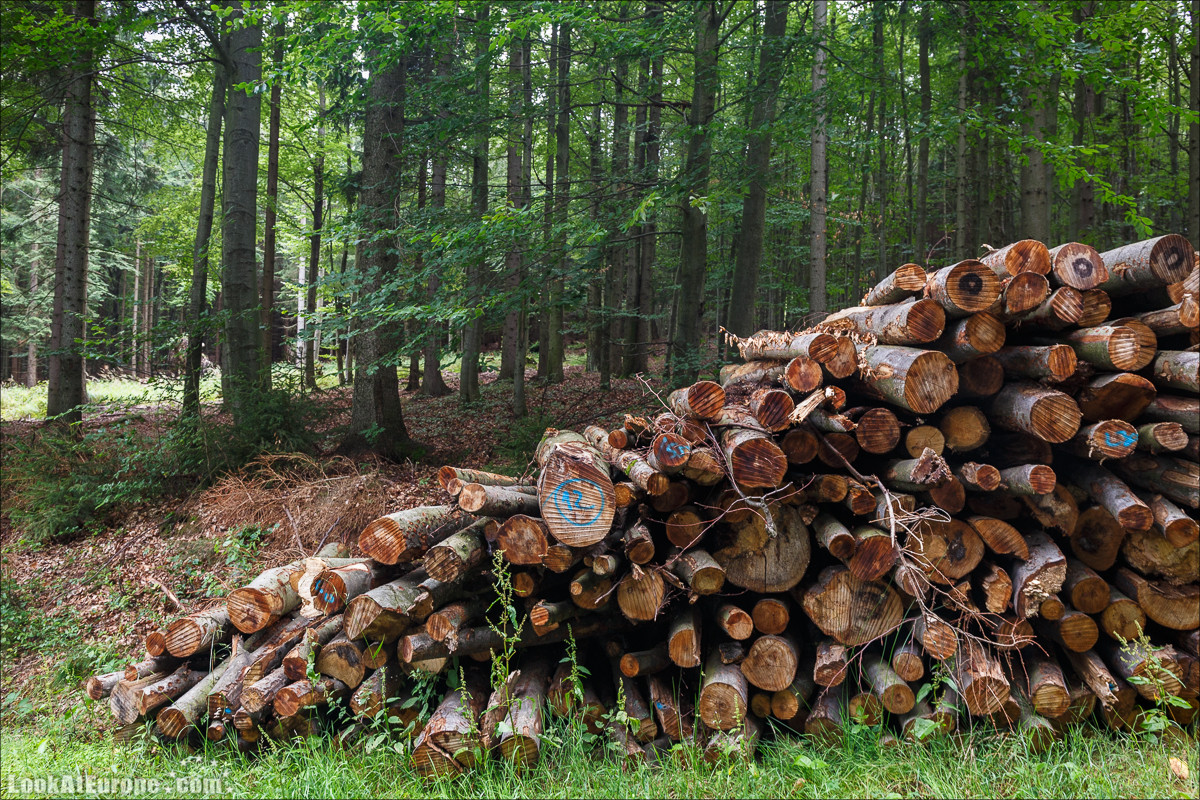 Чехия. Подебрады и собор Варвары в Кутна Гора | LookAtIsrael.com - Фото путешествия по Израилю