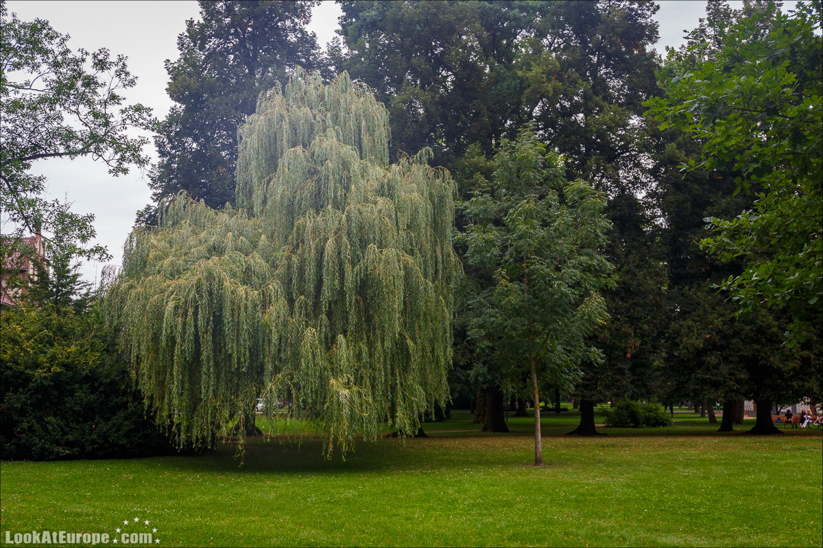 Чехия. Подебрады и собор Варвары в Кутна Гора | LookAtIsrael.com - Фото путешествия по Израилю