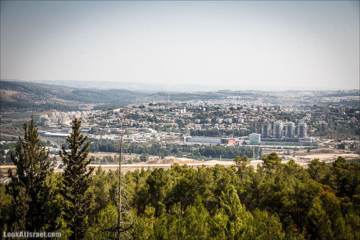 Искусство в лесу