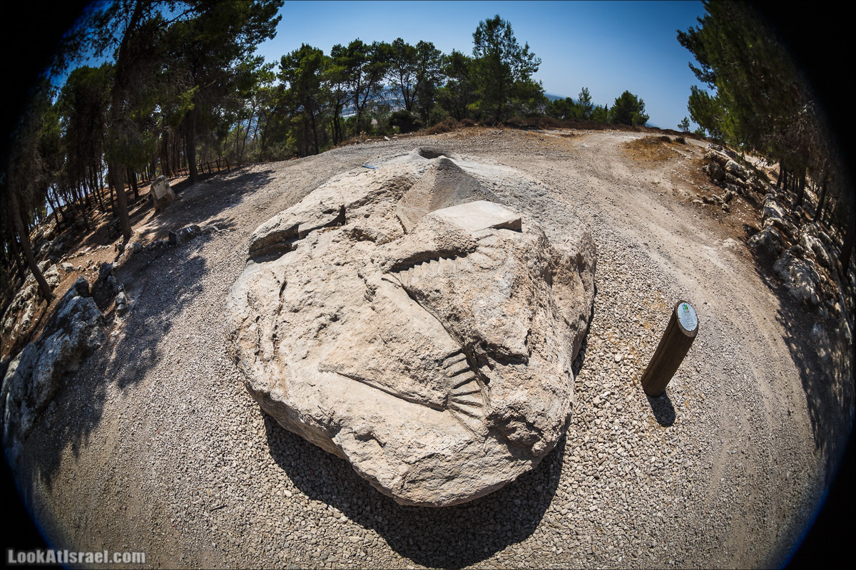 Дорога скульптур в лесу Цора | LookAtIsrael.com - Фото путешествия по Израилю