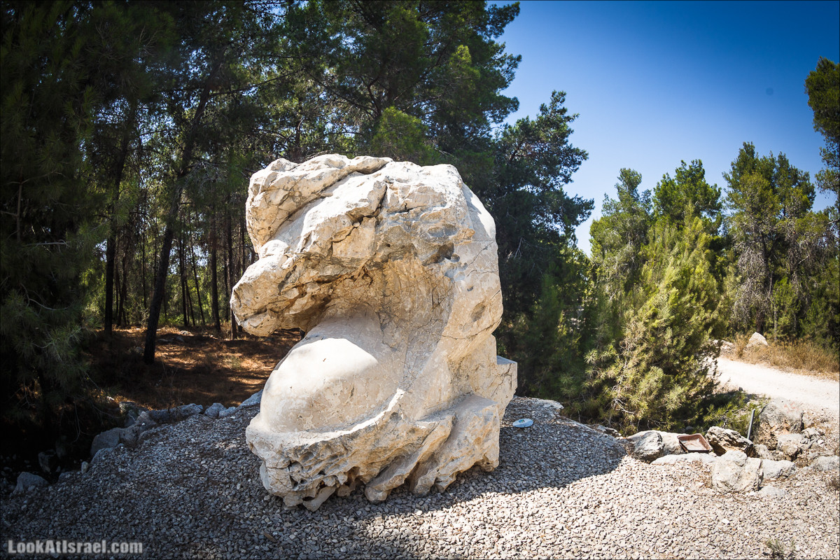 Дорога скульптур в лесу Цора | LookAtIsrael.com - Фото путешествия по Израилю