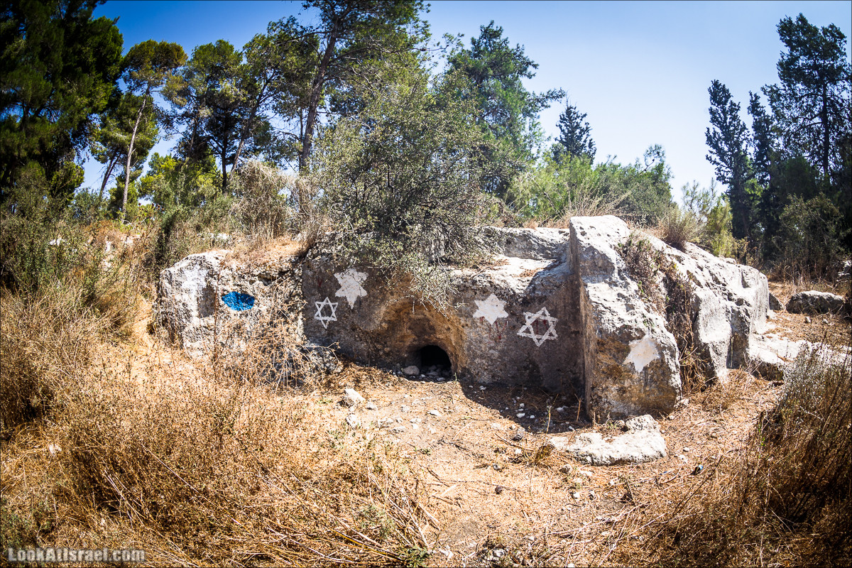 Дорога скульптур в лесу Цора | LookAtIsrael.com - Фото путешествия по Израилю