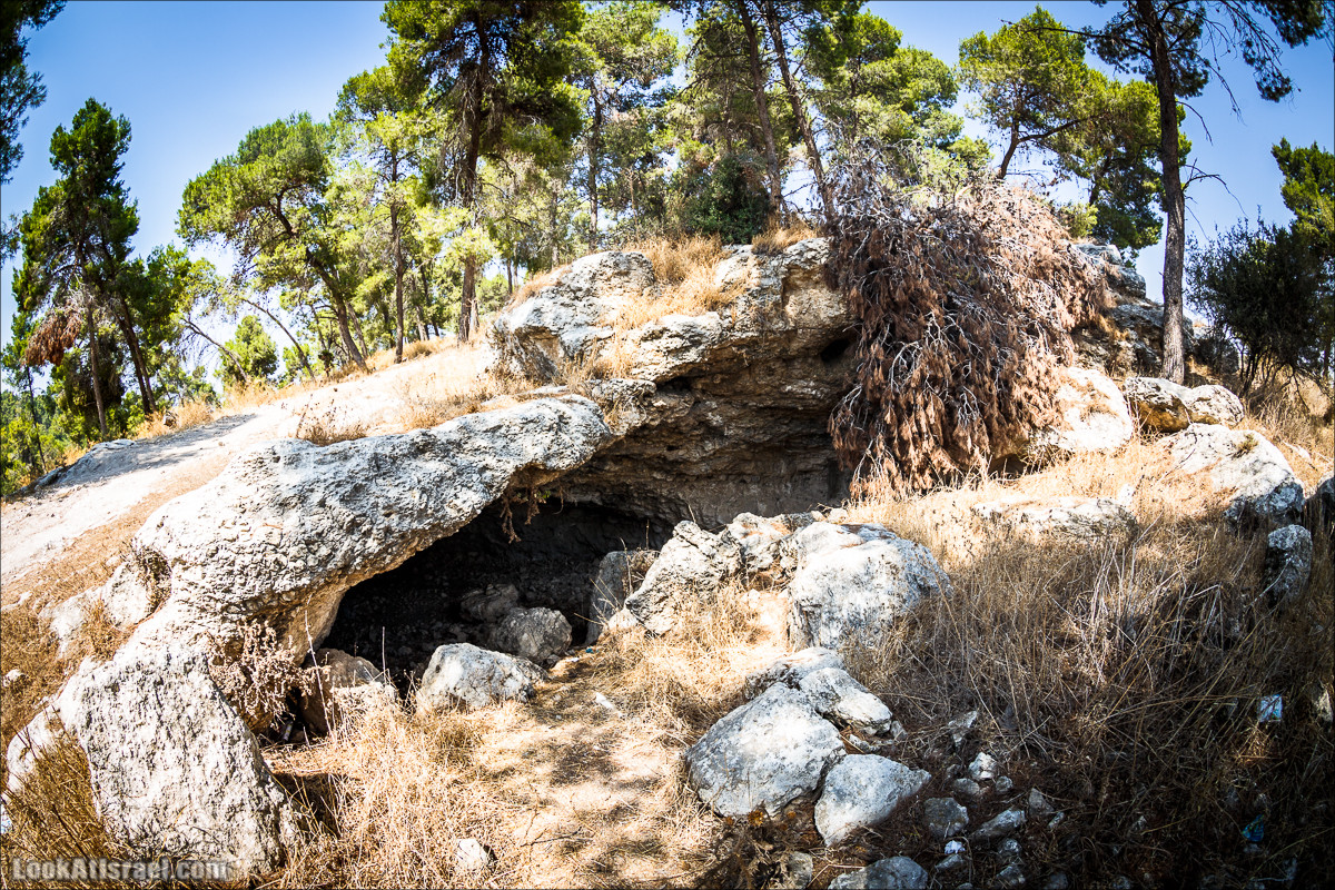 Дорога скульптур в лесу Цора | LookAtIsrael.com - Фото путешествия по Израилю