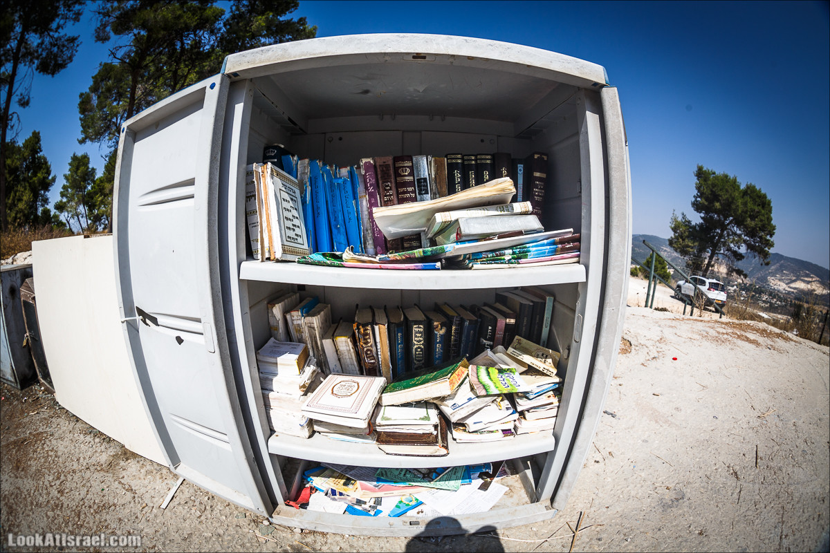 Дорога скульптур в лесу Цора | LookAtIsrael.com - Фото путешествия по Израилю