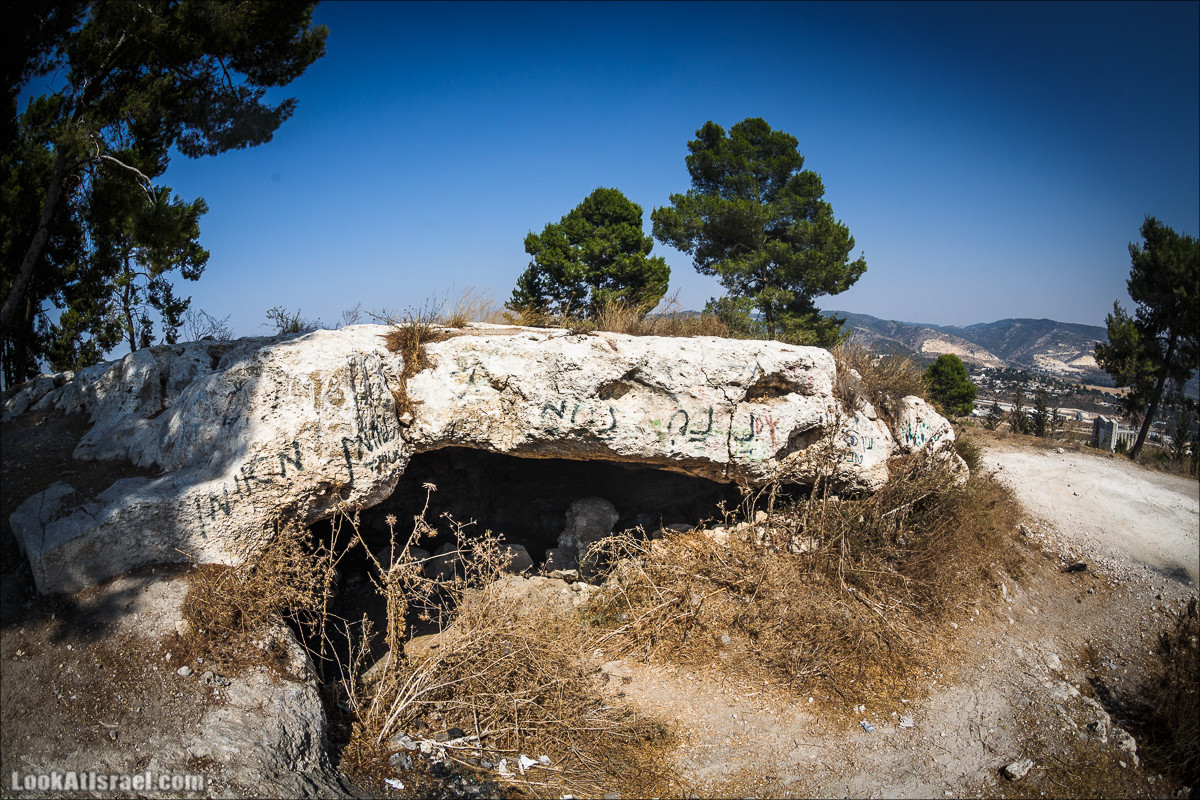Дорога скульптур в лесу Цора | LookAtIsrael.com - Фото путешествия по Израилю
