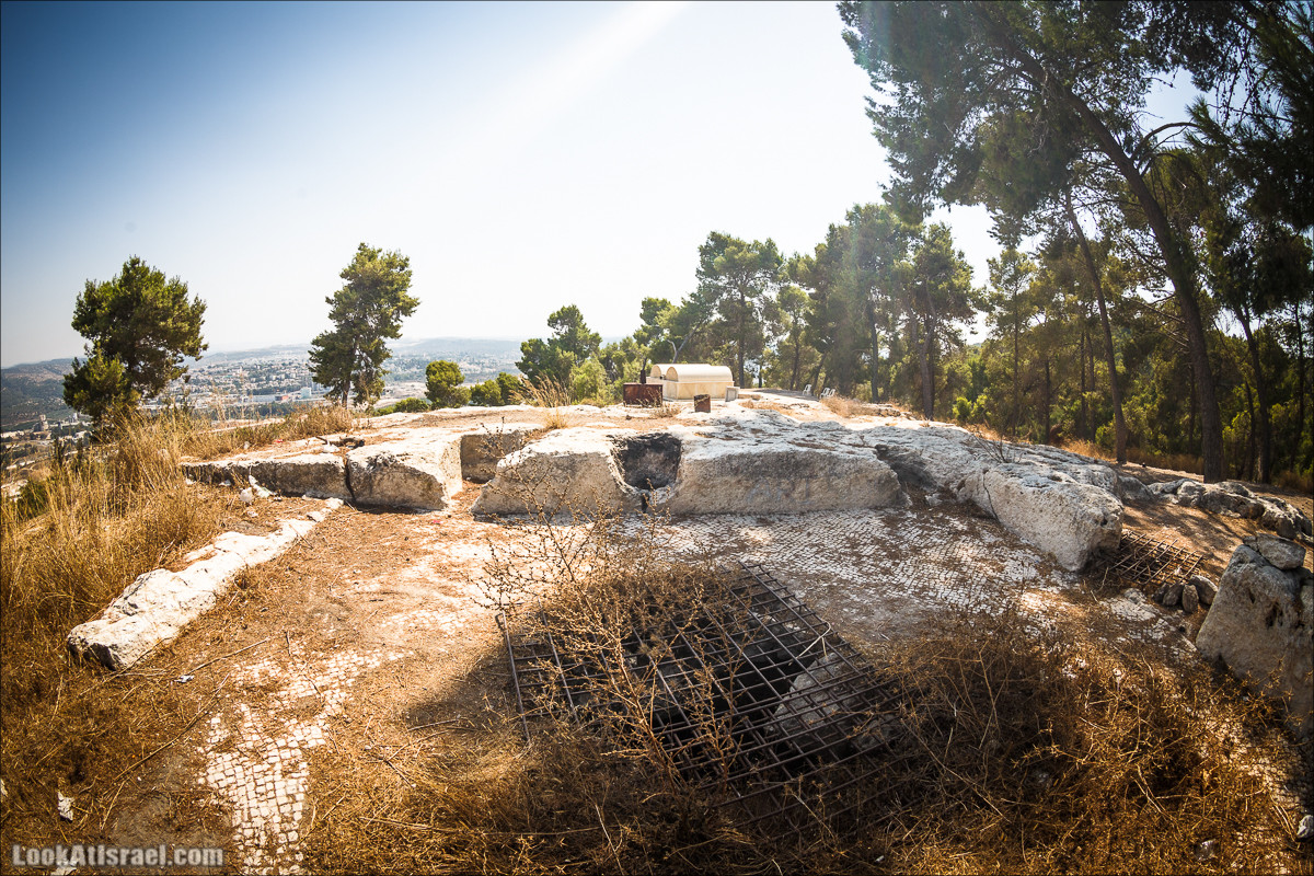 Дорога скульптур в лесу Цора | LookAtIsrael.com - Фото путешествия по Израилю