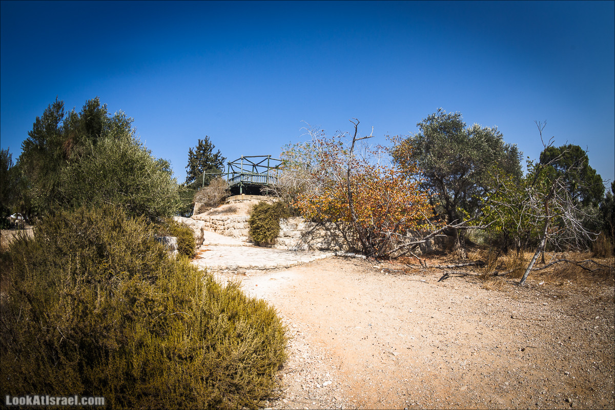 Дорога скульптур в лесу Цора | LookAtIsrael.com - Фото путешествия по Израилю
