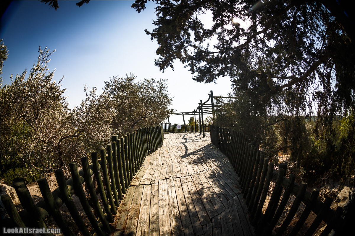 Дорога скульптур в лесу Цора | LookAtIsrael.com - Фото путешествия по Израилю