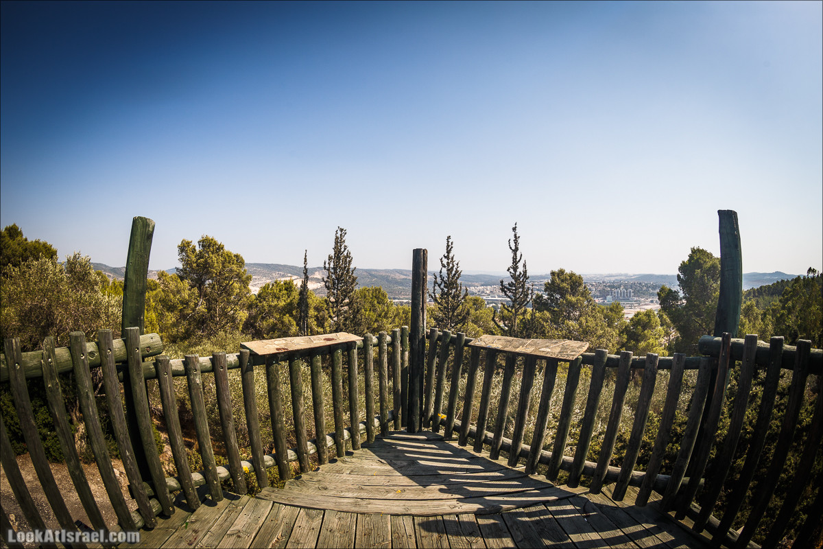 Дорога скульптур в лесу Цора | LookAtIsrael.com - Фото путешествия по Израилю