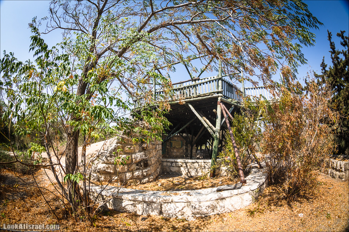 Дорога скульптур в лесу Цора | LookAtIsrael.com - Фото путешествия по Израилю