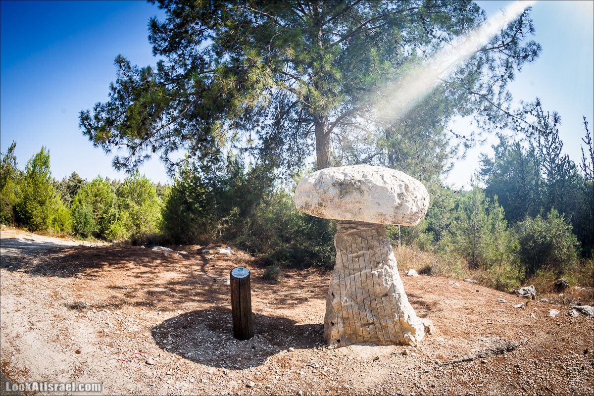 Дорога скульптур в лесу Цора | LookAtIsrael.com - Фото путешествия по Израилю