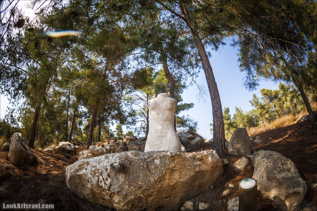 Дорога скульптур в лесу Цора | LookAtIsrael.com - Фото путешествия по Израилю