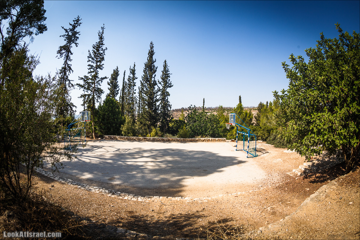 Дорога скульптур в лесу Цора | LookAtIsrael.com - Фото путешествия по Израилю