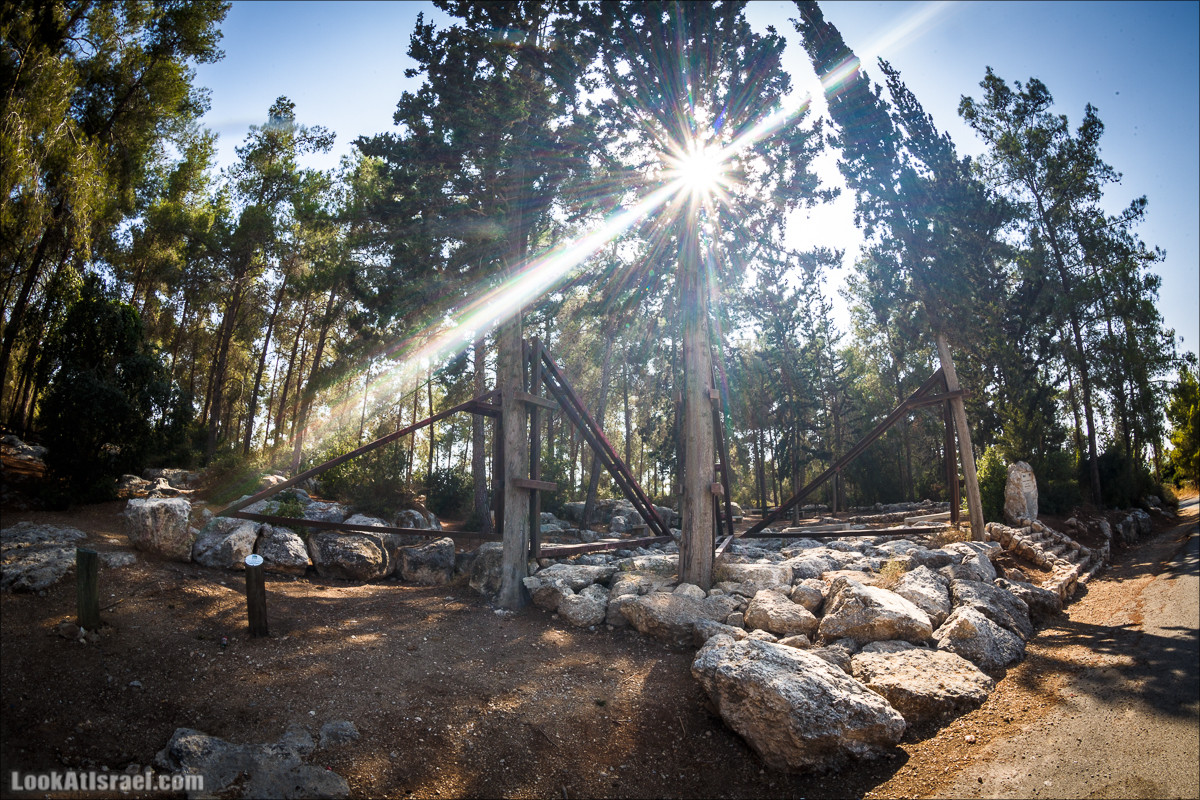 Дорога скульптур в лесу Цора | LookAtIsrael.com - Фото путешествия по Израилю