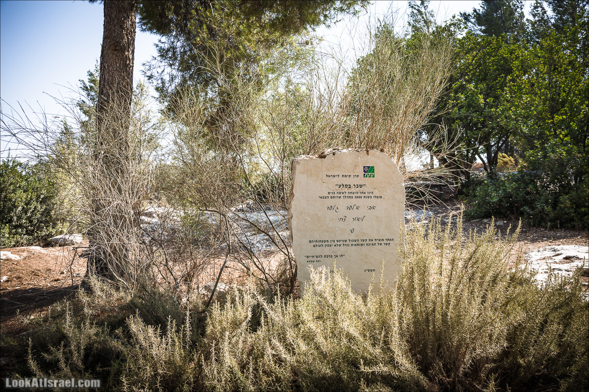 Дорога скульптур в лесу Цора | LookAtIsrael.com - Фото путешествия по Израилю