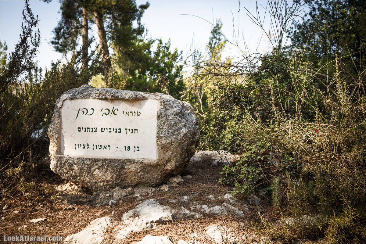 Дорога скульптур в лесу Цора | LookAtIsrael.com - Фото путешествия по Израилю