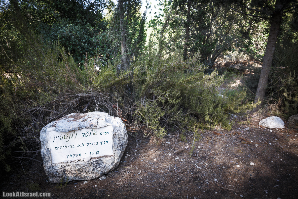 Дорога скульптур в лесу Цора | LookAtIsrael.com - Фото путешествия по Израилю