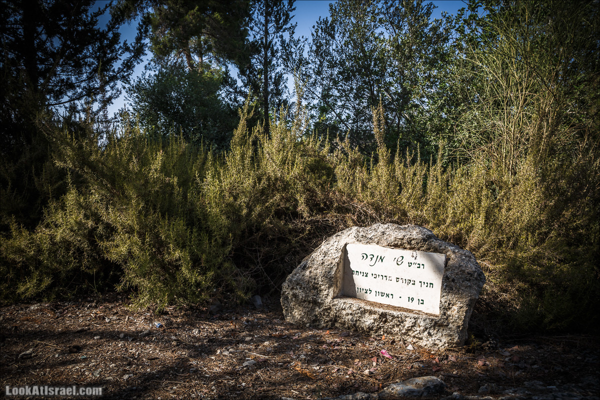 Дорога скульптур в лесу Цора | LookAtIsrael.com - Фото путешествия по Израилю