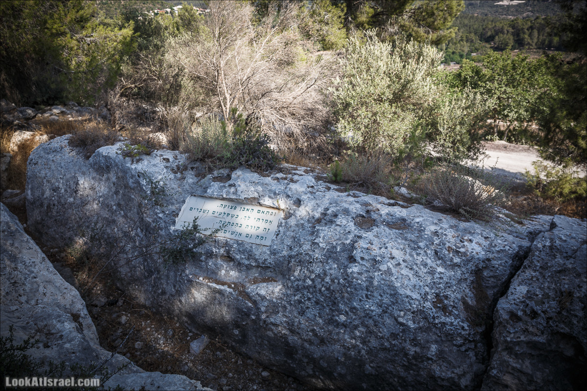 Дорога скульптур в лесу Цора | LookAtIsrael.com - Фото путешествия по Израилю