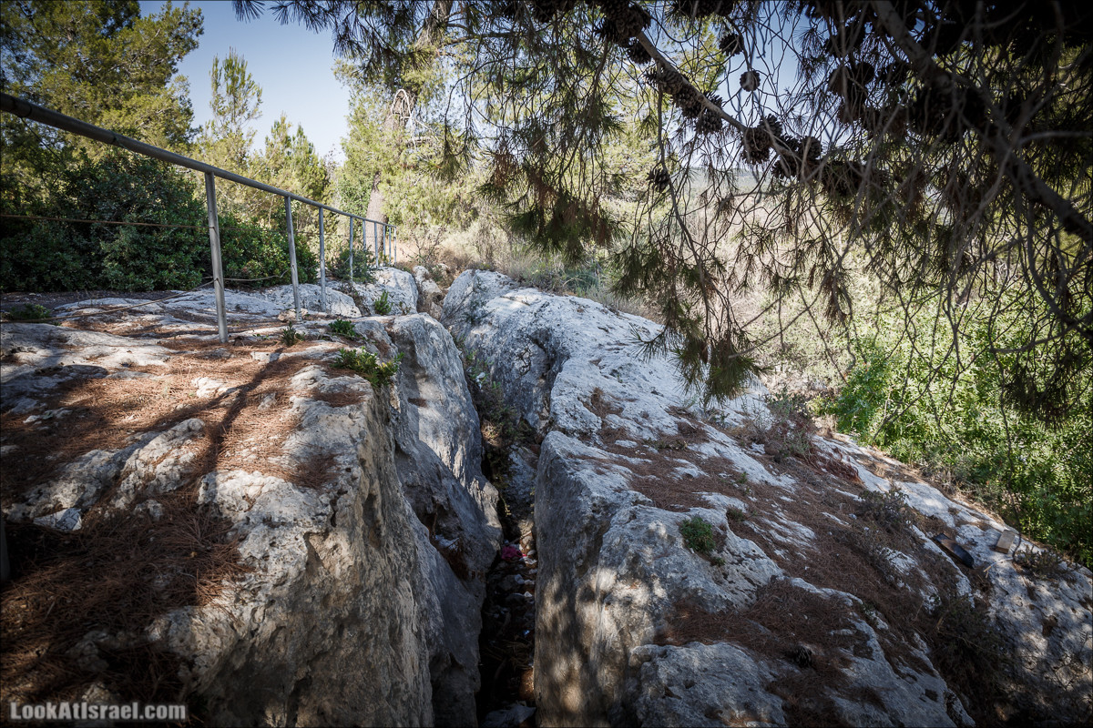 Дорога скульптур в лесу Цора | LookAtIsrael.com - Фото путешествия по Израилю