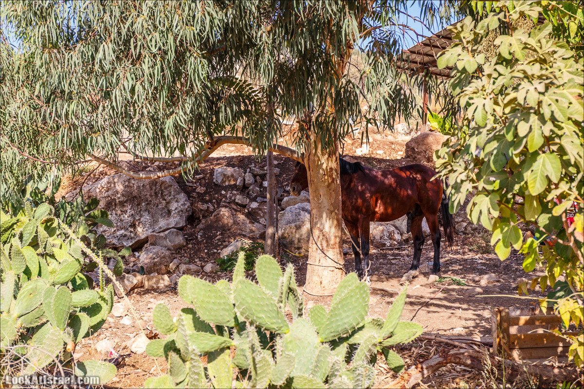 Нахаль Ахбара и нижний Амуд | LookAtIsrael.com - Фото путешествия по Израилю