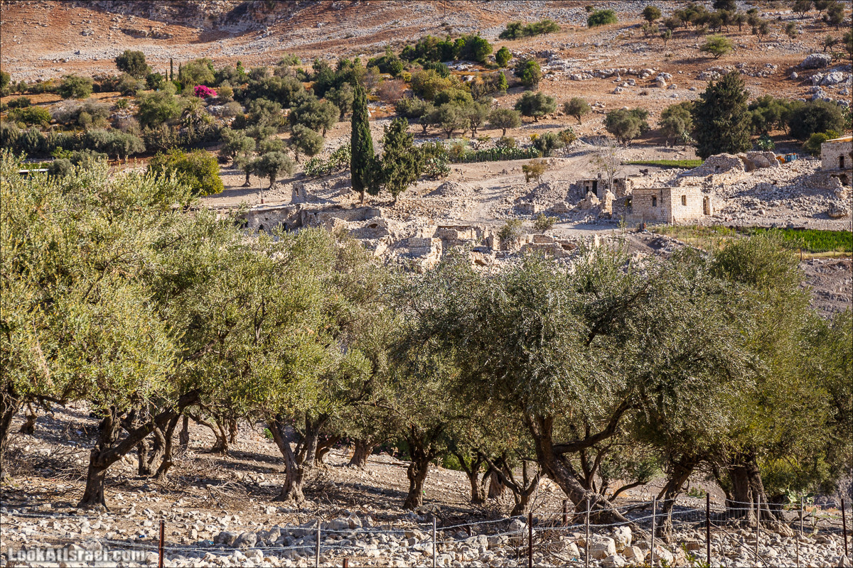 Нахаль Ахбара и нижний Амуд | LookAtIsrael.com - Фото путешествия по Израилю