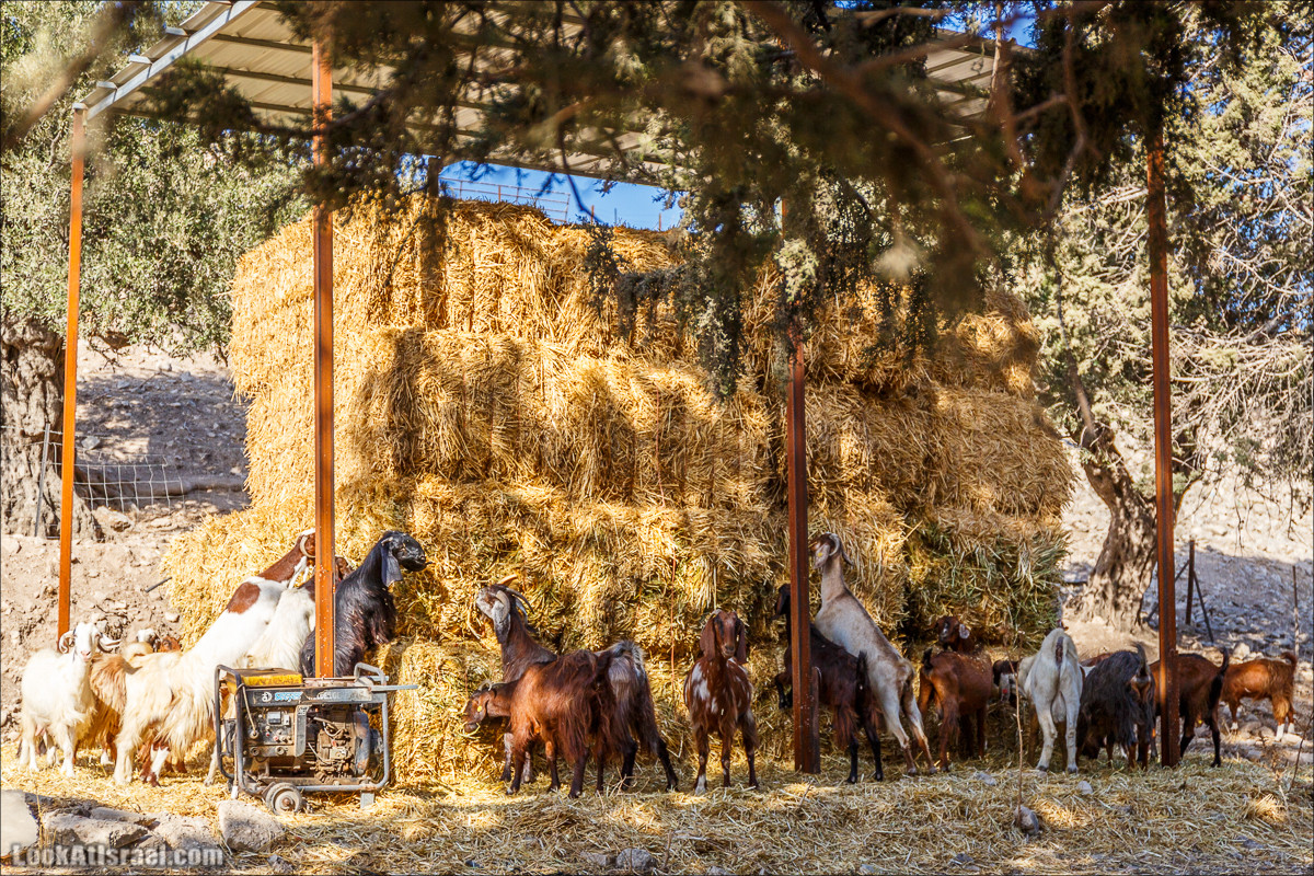 Нахаль Ахбара и нижний Амуд | LookAtIsrael.com - Фото путешествия по Израилю