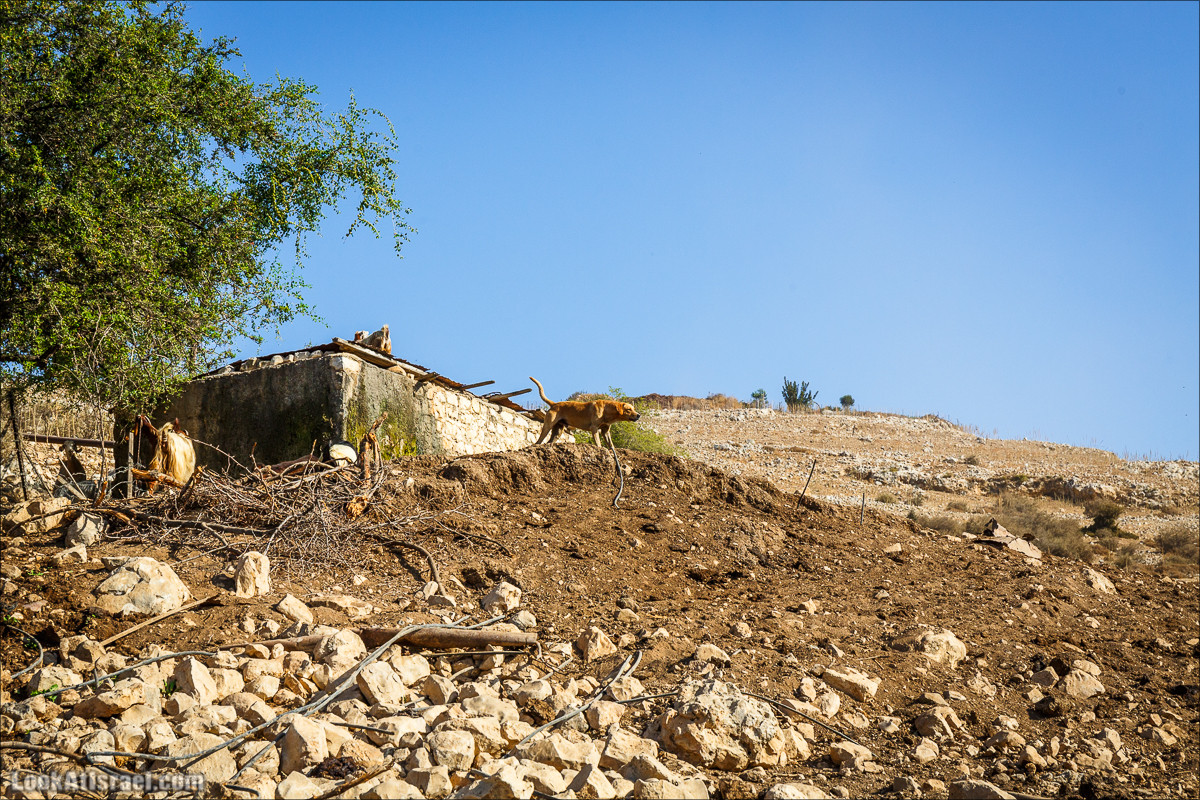 Нахаль Ахбара и нижний Амуд | LookAtIsrael.com - Фото путешествия по Израилю