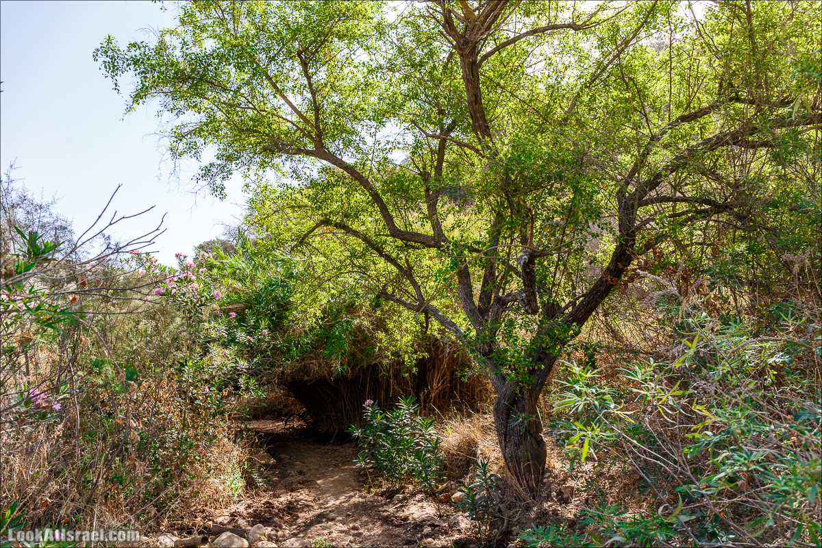 Нахаль Ахбара и нижний Амуд | LookAtIsrael.com - Фото путешествия по Израилю