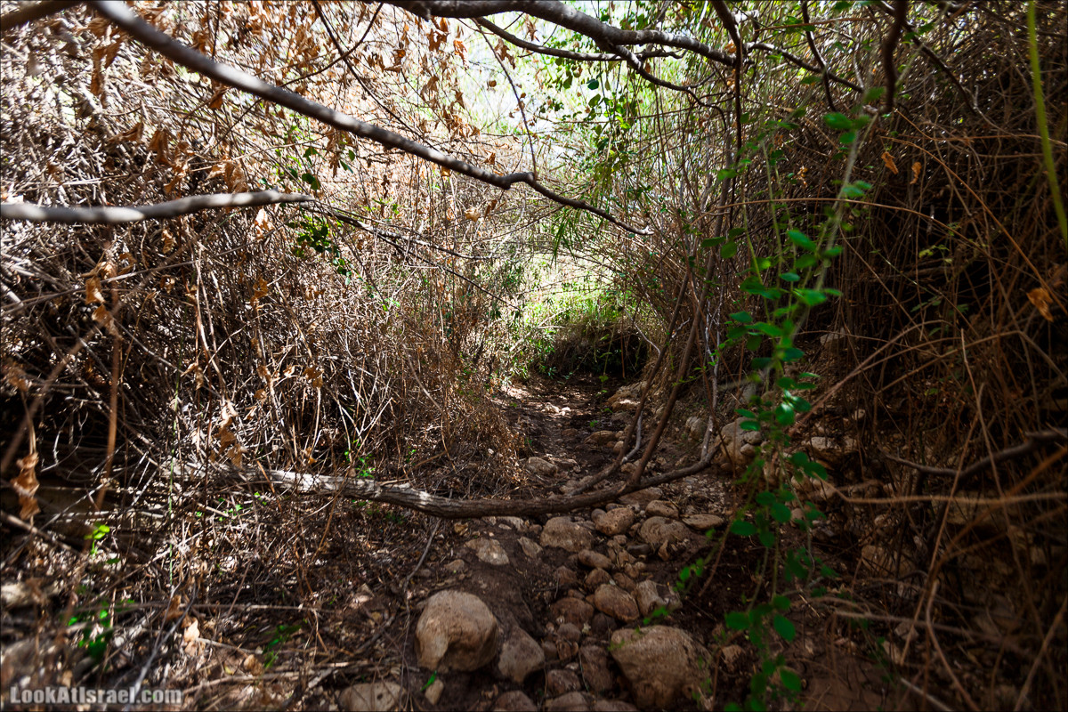 Нахаль Ахбара и нижний Амуд | LookAtIsrael.com - Фото путешествия по Израилю
