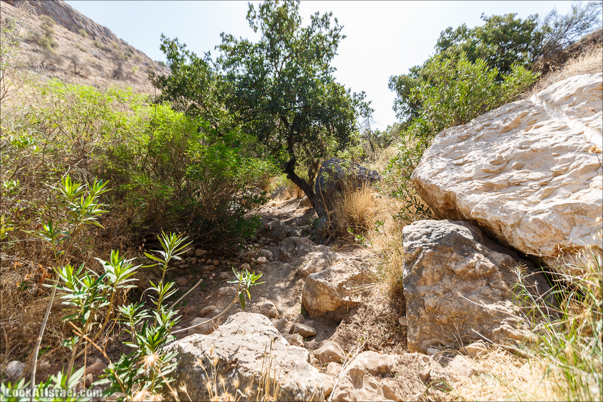 Нахаль Ахбара и нижний Амуд | LookAtIsrael.com - Фото путешествия по Израилю