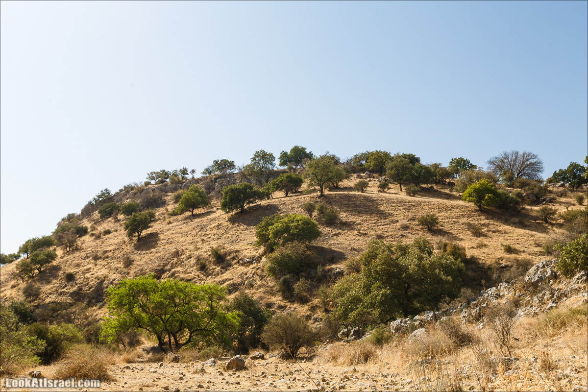 Нахаль Ахбара и нижний Амуд | LookAtIsrael.com - Фото путешествия по Израилю
