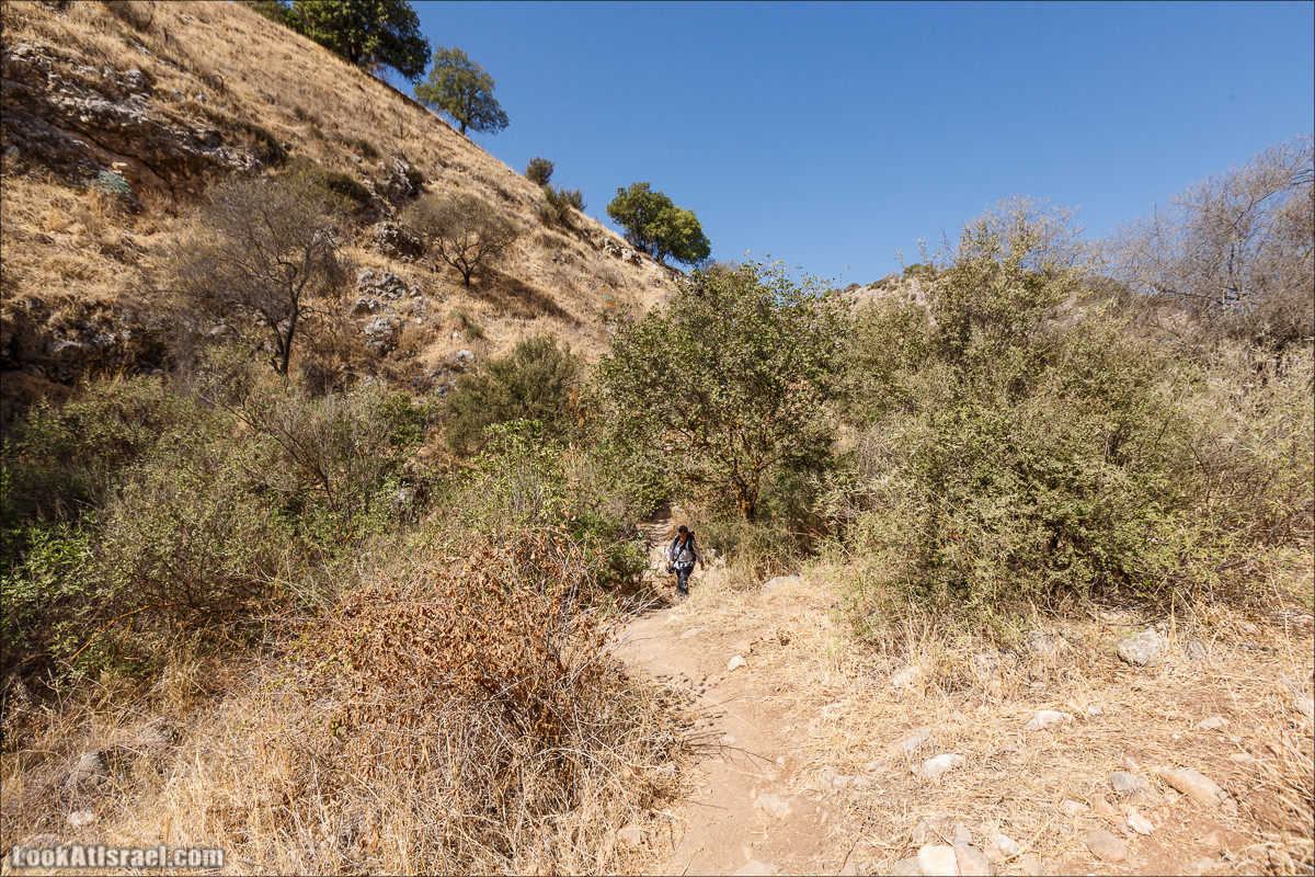 Нахаль Ахбара и нижний Амуд | LookAtIsrael.com - Фото путешествия по Израилю