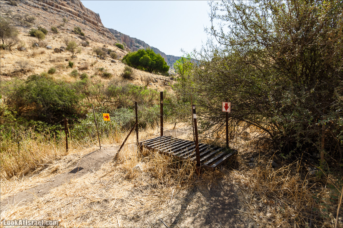 Нахаль Ахбара и нижний Амуд | LookAtIsrael.com - Фото путешествия по Израилю