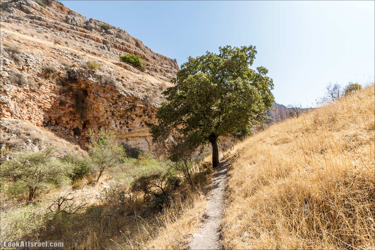 Нахаль Ахбара и нижний Амуд | LookAtIsrael.com - Фото путешествия по Израилю