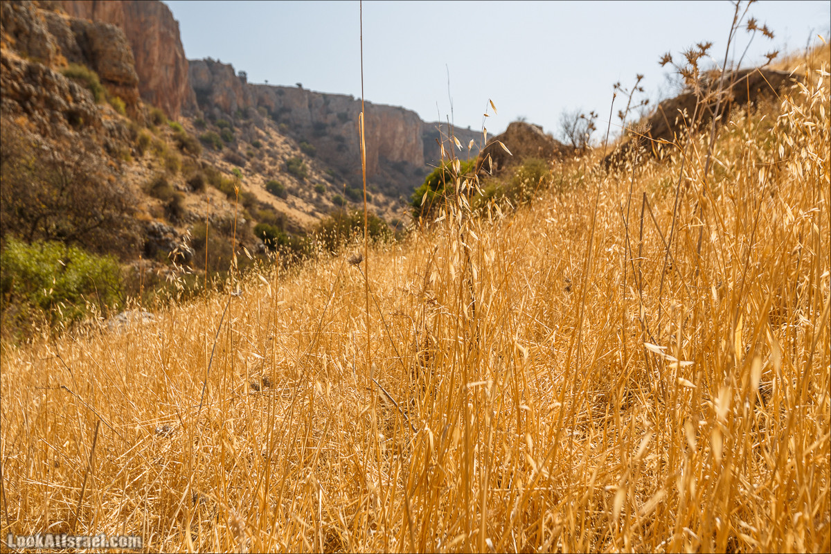 Нахаль Ахбара и нижний Амуд | LookAtIsrael.com - Фото путешествия по Израилю